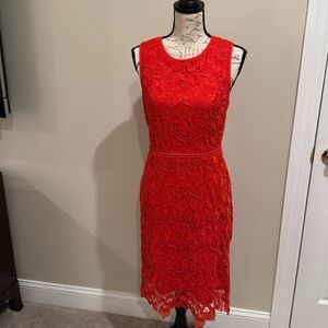 Ann Taylor Cotton Lace Dress